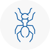 Ant Removals In Andover
