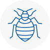 Bed Bug Extermination In Andover