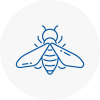 Bee Nest Removal Andover