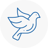 Bird Prevention Andover