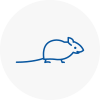 Mice Exterminators In Andover