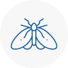 Moth Control Specialists In Andover