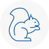 Andover Rodent Removals